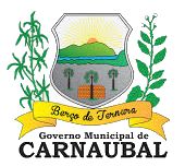 Brasão da cidade de Carnaubal