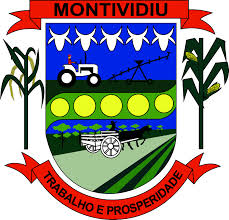 Brasão da cidade de Montividiu