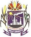 Brasão da cidade de Belo Oriente