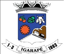 Brasão da cidade de Igarape