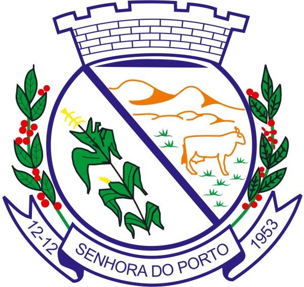 Brasão da cidade de Senhora Do Porto