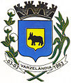 Brasão da cidade de Varzelandia