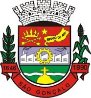 Brasão da cidade de Sao Goncalo