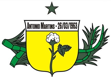 Brasão da cidade de Antonio Martins