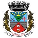 Brasão da cidade de Restinga Seca