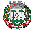 Brasão da cidade de Salvador Do Sul