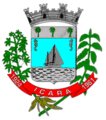 Brasão da cidade de Icara