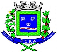 Brasão da cidade de Bora