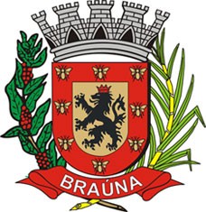 Brasão da cidade de Brauna
