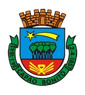 Brasão da cidade de Capao Bonito