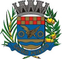 Brasão da cidade de Gaviao Peixoto