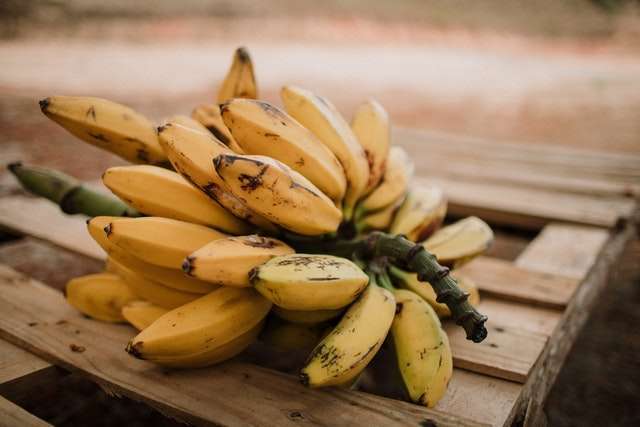 Imagem destaque da matéria - Dieta da banana emagrece mesmo? Farinha, Banana verde