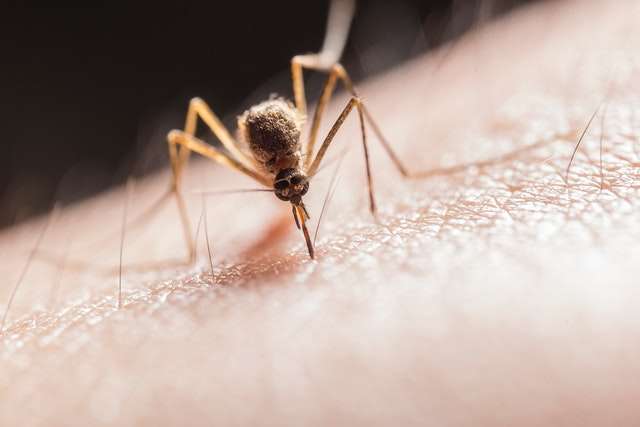Imagem destaque da matéria - Monitoramento de Casos de Dengue, Chikungunya e Zika Virus em Minas Gerais